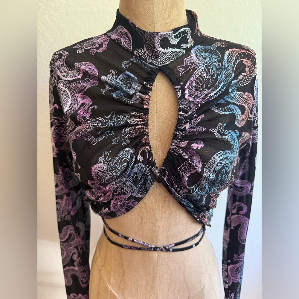 Sheer Metallic Black With Pastel Dragon Print Ruched Women Top